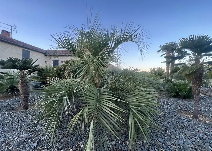 Le Relais Des Chevaliers Hébergement de vacances Cordes-sur-Ciel