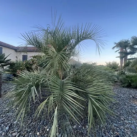 Le Relais Des Chevaliers Hébergement de vacances Cordes-sur-Ciel